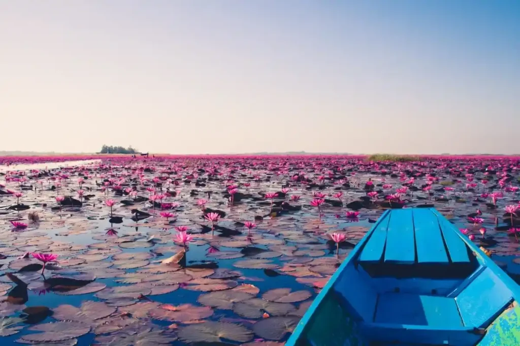 Visitar Tailandia en enero