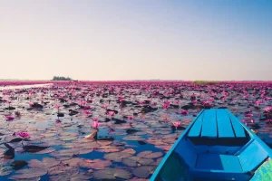 Visitar Tailandia en enero