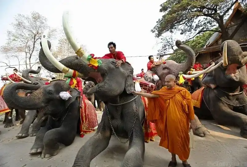 Visitar Tailandia en marzo
