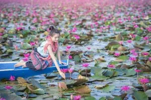 El mar de loto en Udon Thani