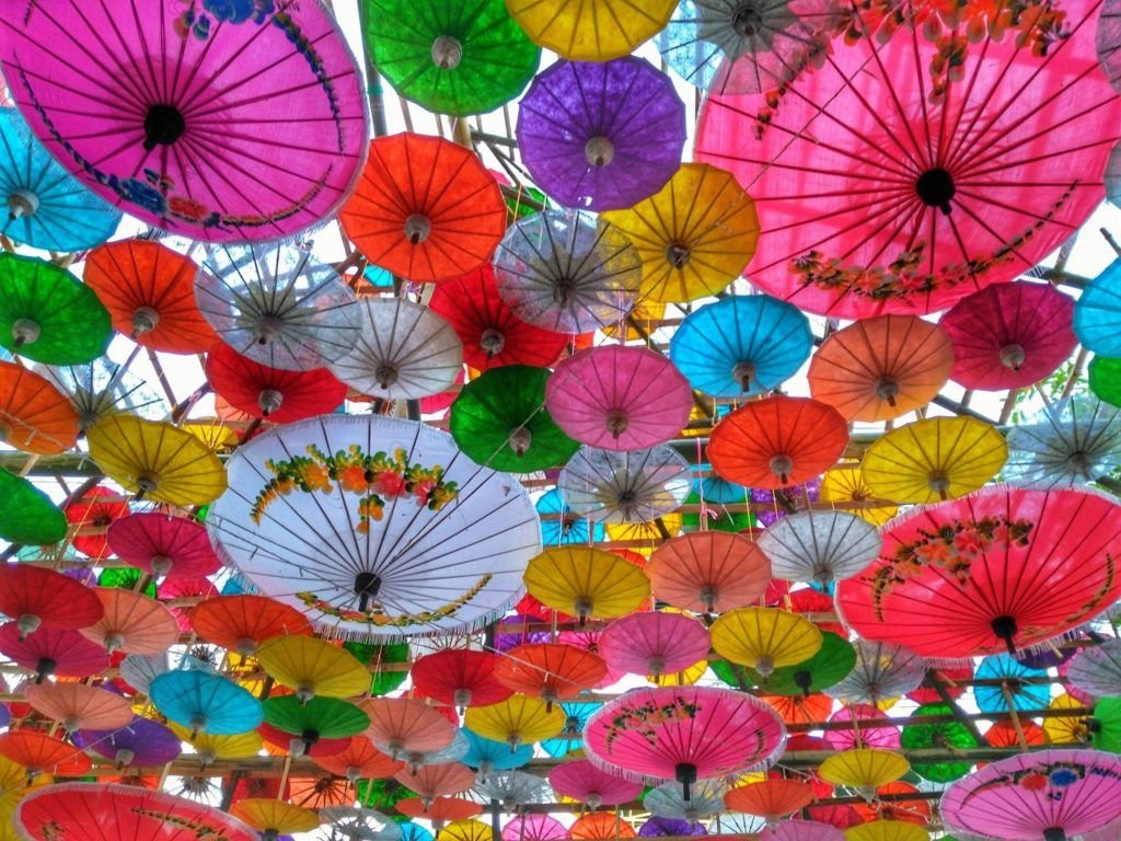 Festival Bo Sang Umbrella