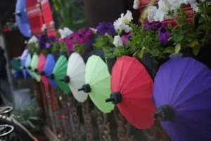 Festival Bo Sang Umbrella