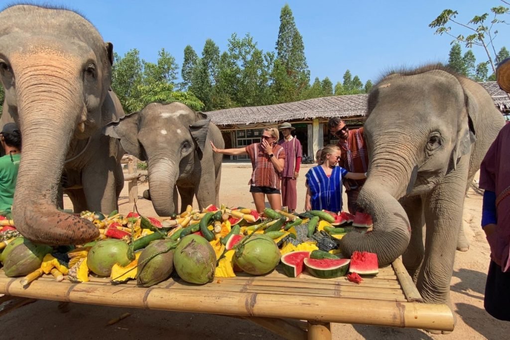 Día Nacional del Elefante Tailandés