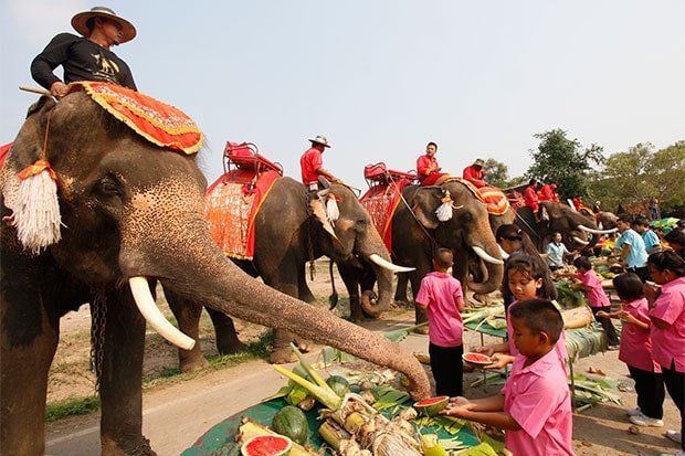 Día Nacional del Elefante Tailandés
