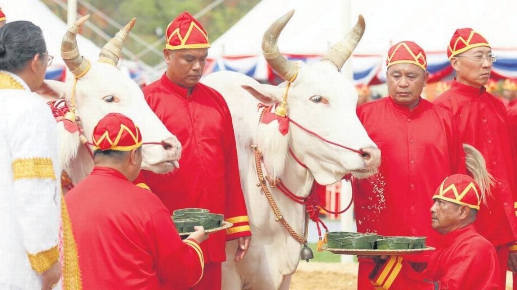 Ceremonia Real del Arado
