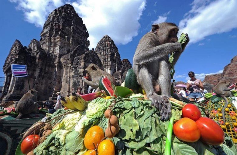 El Festival de buffet de monos de Lopburi