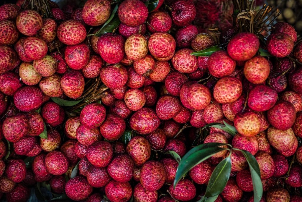 El lichi