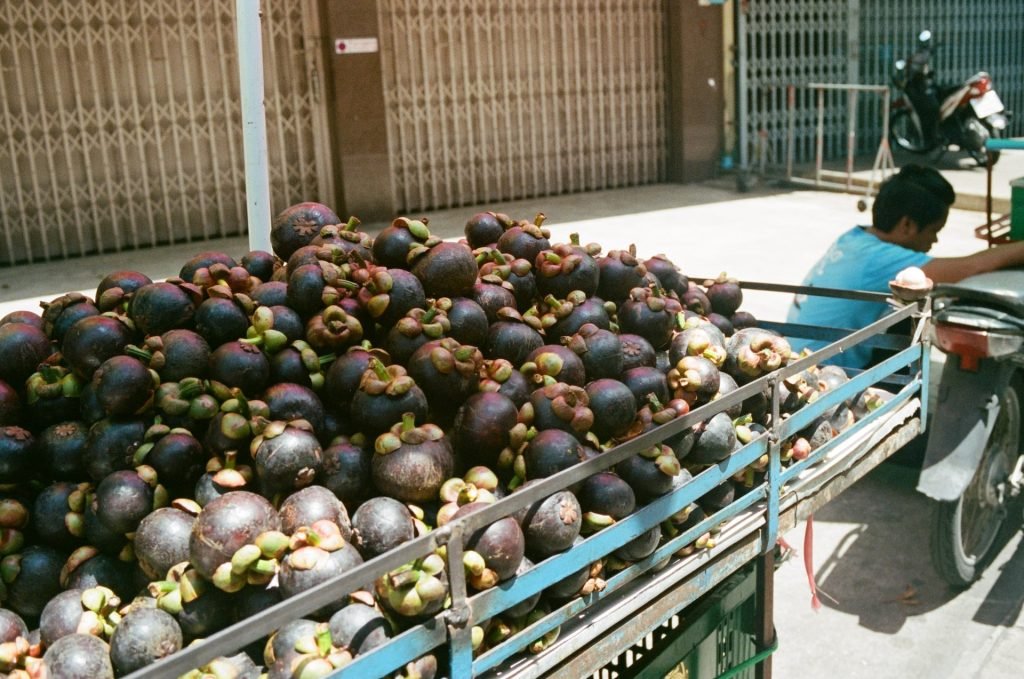 El mangostan