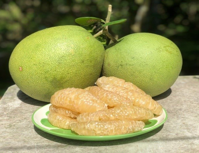 El pomelo
