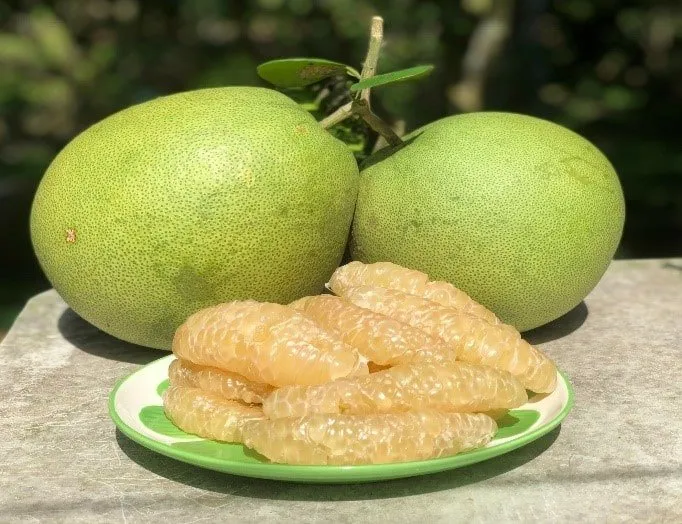 El pomelo
