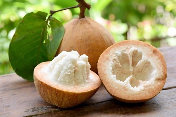 El santol