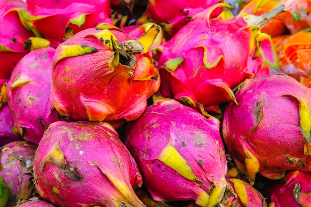 La pitahaya