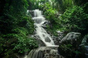 Chiang Rai