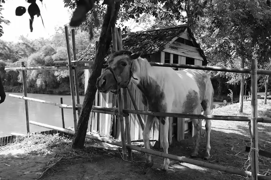 Nakhon Pathom
